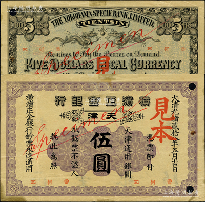 大清光绪贰拾八年（1902年）横滨正金银行·天津通用银圆伍圆见本，天津地名；柯福晟先生藏品，源于日本名家森本勇先生之旧藏，罕见，八五成新