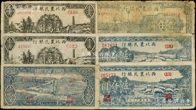 西北农民银行纸币6枚，详分：1946年码头图壹仟圆，1947年蓝色羊群图伍仟圆2枚，1948年蓝色打水浇地图壹万圆、黑色宝塔山图壹万圆2枚（其中1枚为合背，即正背两面均为宝塔山图，但实物待考）；海外藏家出品，六至八成新，返品不可，敬请预览