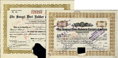 Sungei Duri橡胶种植园公司股票2种，详分：1941年100股、1951年1000股，图案不同；该公司注册于香港，其股票曾在上海发行；注销票，有缺损，六成新