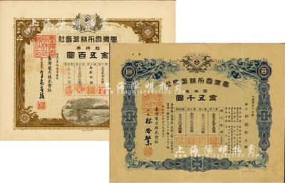 台湾电力株式会社株券共2种不同，详分：1919年棕色拾株券金五百圆、1941年蓝色百株券金五千圆，均有水印，八至八五成新