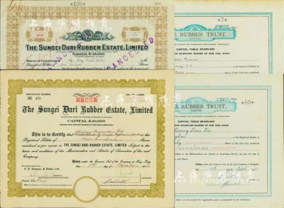 老上海橡胶股票4种，详分：Rubber Trust(橡胶信托)公司股票1931年3股、1941年60股(每股上海规银1两)，版式不同；Sungei Duri橡胶种植园公司1941年100股、1951年500股，图案不同；此二公司在香港注册，其股票均在上海发行，七至九成新