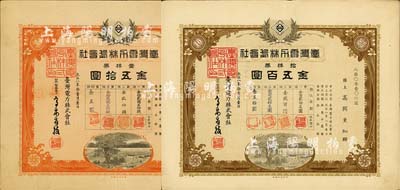 大正八年（1919年）台湾电力株式会社株券2种，详分：桔色壹株券金五拾圆、棕色拾株券金五百圆；台湾藏家出品，有水印，八成新