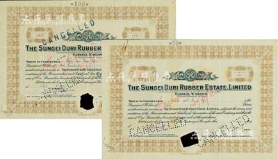 （上海）Sungei Duri橡胶种植园公司股票2种，详分：1937年100股、1940年50股，均打孔注销；该公司注册于香港，其股票在上海发行；七成新