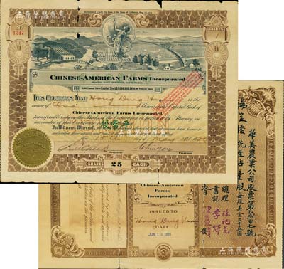 1920年华美农业公司股票，面额平常股壹股（计美金二十五圆），由广东华侨在旧金山发行，背印中文，少见，有小破损，六成新