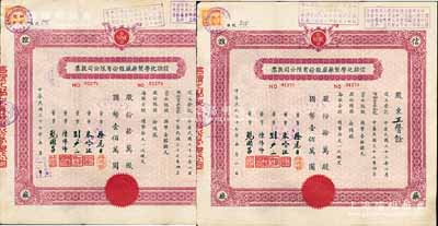 民国三十七年（1948年）改1953年信谊化学制药厂股份有限公司股票共2枚连号，拾万股计国币壹佰万圆，票上盖有解放后资本调整之戳记，八五成新