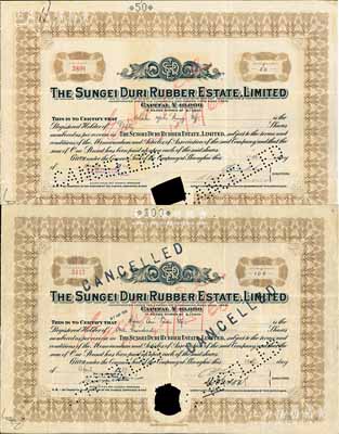 （上海）Sungei Duri橡胶种植园公司股票2种，详分：1937年100股、1940年50股，均打孔注销；该公司注册于香港，其股票在上海发行；七成新