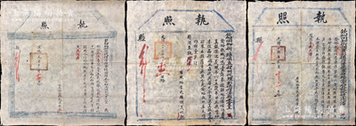 清代“儒学”执照共3张不同，详分：①光绪十四年（1888年）“钦加同知衔署彰德府涉县事辉县正堂加五级纪录十次潘”执照；②光绪三十三年（1907年）“钦加同知衔特用直隶州代理彰德府涉县正堂王”执照；③宣统元年（1909年）“钦加同知衔代理涉县事候补县正堂加五级纪录十次金”执照；其内容均为发给“耆民”（即年高有德的老人，可参加儒家乡饮酒礼）；此乃儒家尊老重德之文献，大型少见且保存较