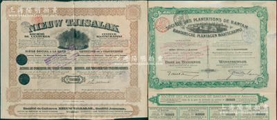 清末橡皮股票2种，详分：1907年班塔姆橡胶种植园公司股票，绿色红利股1股；1910年新Tjisalak橡胶种植园股票，棕色1股计20盾，均上印橡胶林图；此二种植园均设于爪哇，其实物发现于上海，乃与“清末橡皮股票风潮”相关；少见且属首度公诸于阳明，八成新